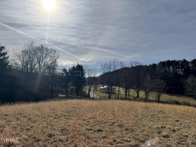 0 Wilkerson Rd, Mosheim, TN 37818