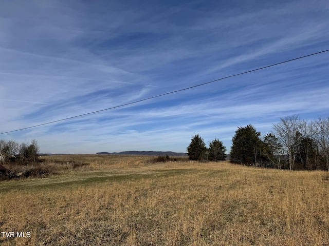 0 Wilkerson Rd, Mosheim, TN 37818