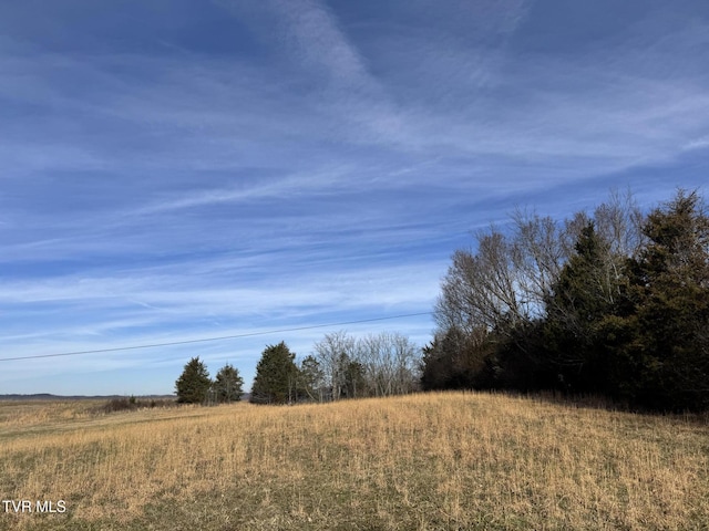 0 Wilkerson Rd, Mosheim, TN 37818