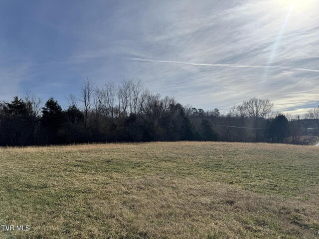 0 Wilkerson Rd, Mosheim, TN 37818