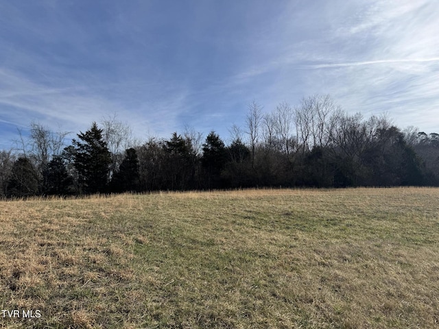 0 Wilkerson Rd, Mosheim, TN 37818