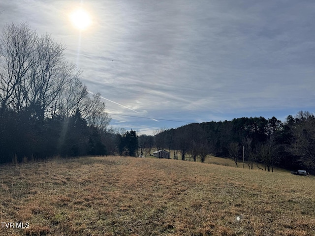 0 Wilkerson Rd, Mosheim, TN 37818