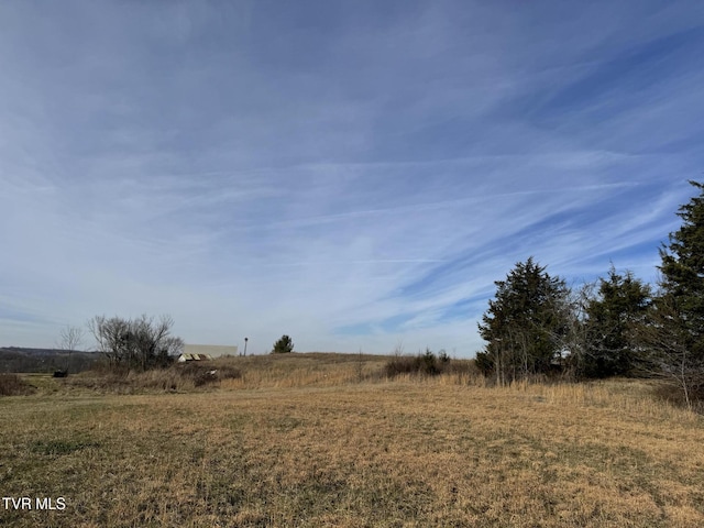 0 Wilkerson Rd, Mosheim, TN 37818