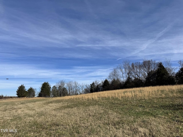 0 Wilkerson Rd, Mosheim, TN 37818