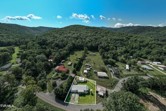 aerial view with a forest view