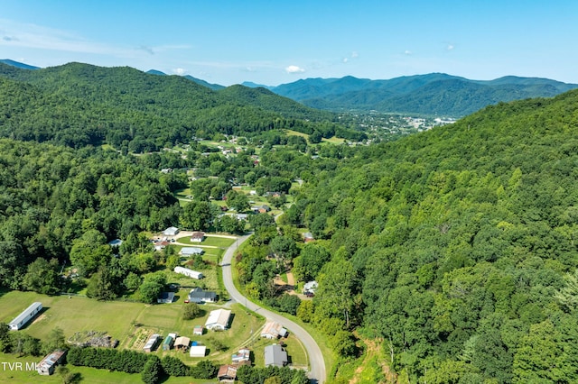 bird's eye view with a view of trees and a mountain view