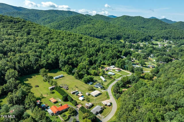 bird's eye view with a view of trees and a mountain view