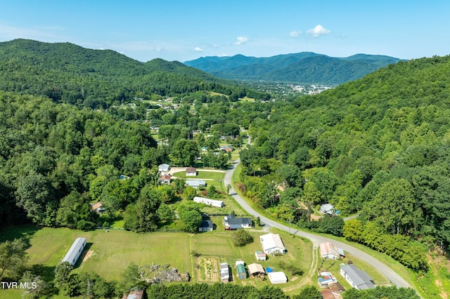 birds eye view of property with a view of trees and a mountain view