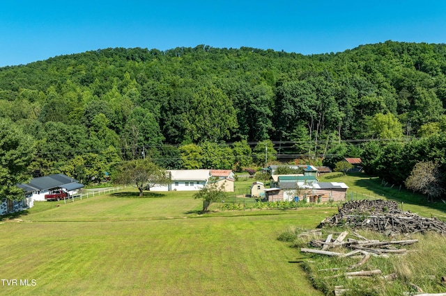 bird's eye view with a view of trees