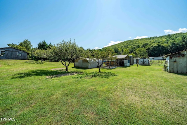 view of yard with an outdoor structure and a storage unit