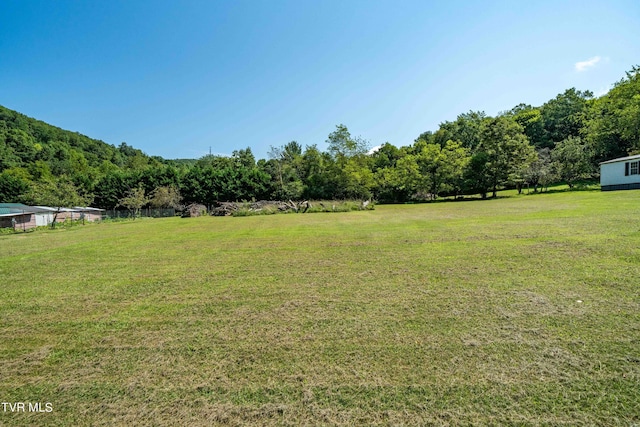 view of yard with a rural view