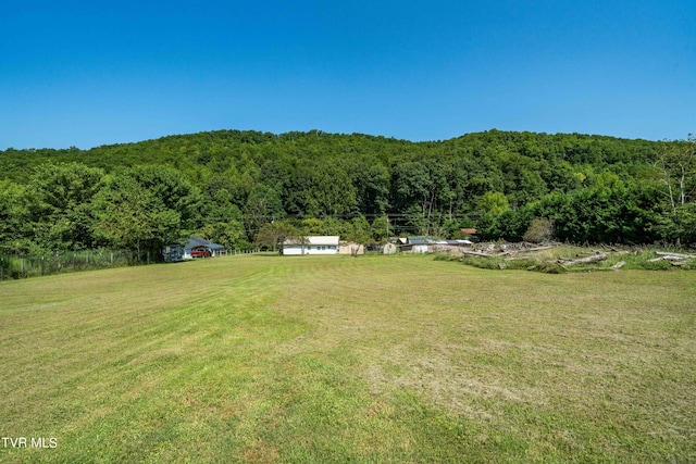 view of yard featuring a wooded view