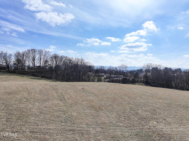 view of landscape with a rural view