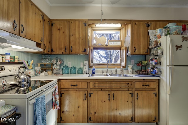 kitchen featuring light countertops, ornamental molding, a sink, white appliances, and under cabinet range hood