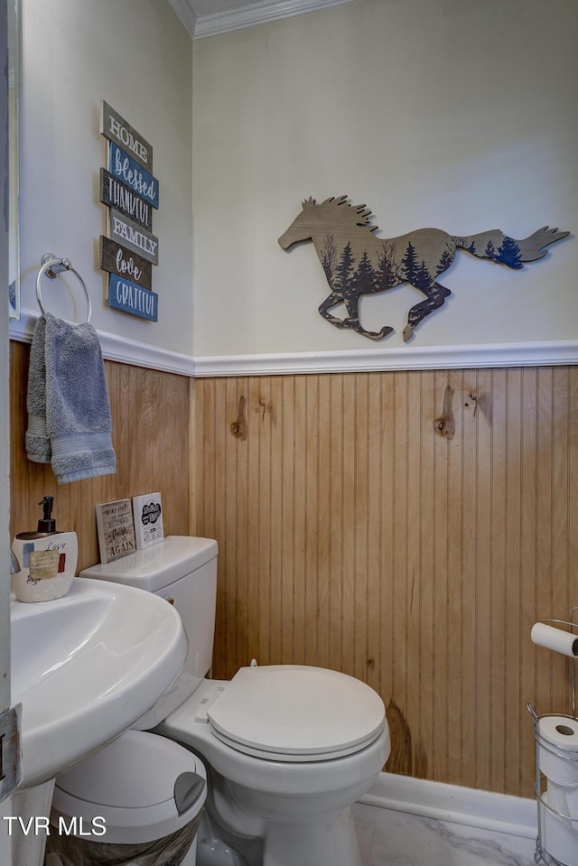 bathroom with a wainscoted wall, wood walls, a sink, and toilet