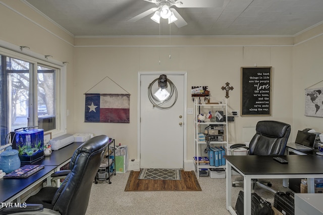 carpeted home office featuring crown molding and ceiling fan