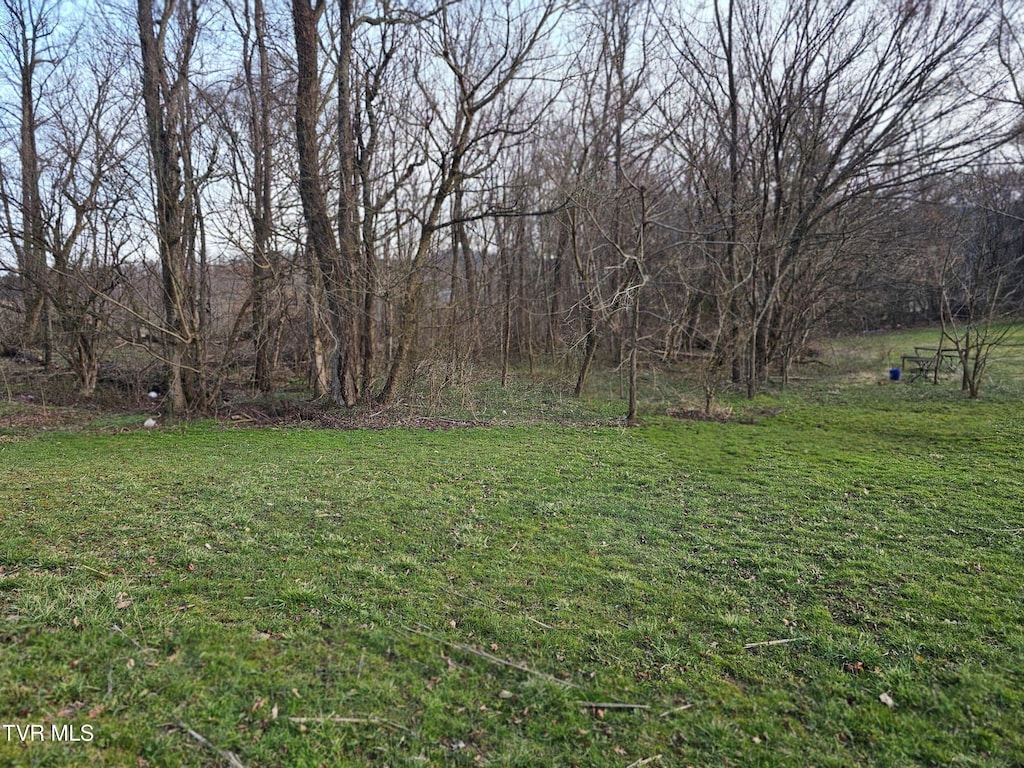 000 Fishpond Rd, Chuckey, TN 37641 - photo 1