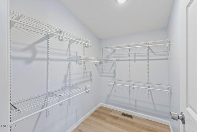 walk in closet with lofted ceiling, wood finished floors, and visible vents