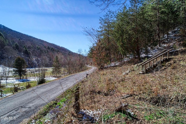 Listing photo 2 for TBD Grassy Creek Rd, Rogersville TN 37857