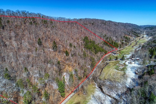 Listing photo 3 for TBD Grassy Creek Rd, Rogersville TN 37857