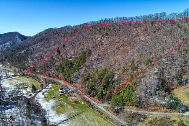 TBD Grassy Creek Rd, Rogersville, TN 37857 - photo 4