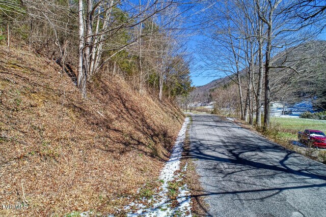 TBD Grassy Creek Rd, Rogersville, TN 37857 - photo 5