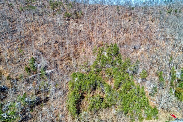 TBD Grassy Creek Rd, Rogersville, TN 37857 - photo 6