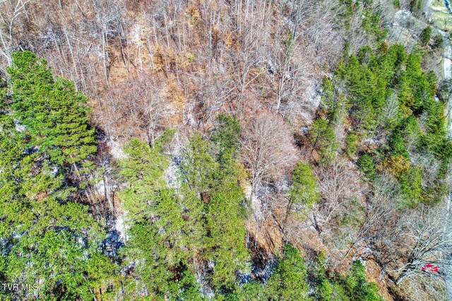 TBD Grassy Creek Rd, Rogersville, TN 37857 - photo 8