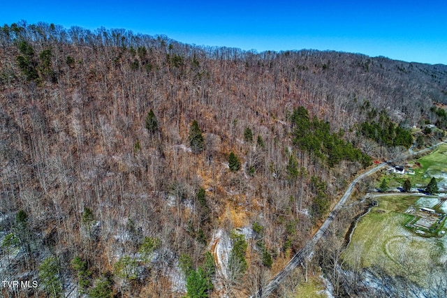 TBD Grassy Creek Rd, Rogersville, TN 37857 - photo 9