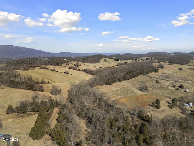 property view of mountains