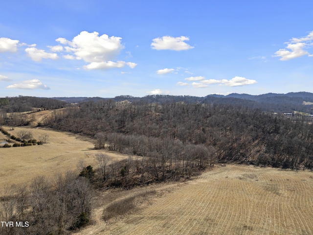 view of mountain feature with a rural view and a forest view