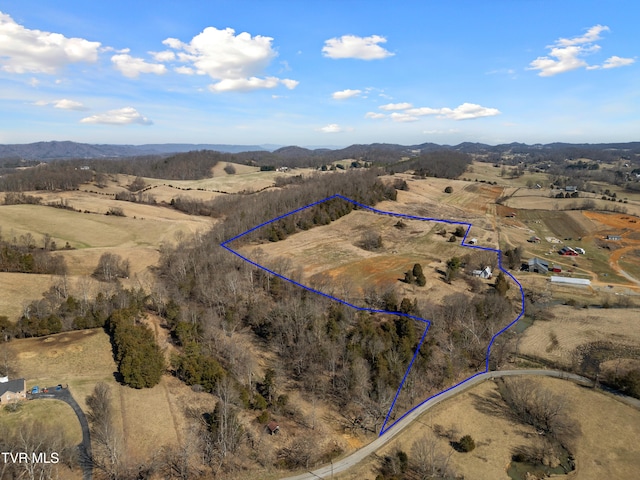 bird's eye view with a mountain view