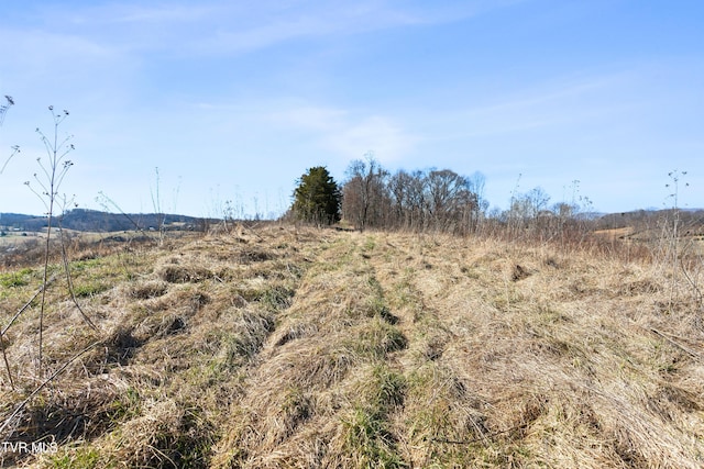 view of nature featuring a rural view