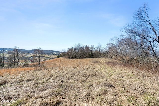 view of nature featuring a rural view