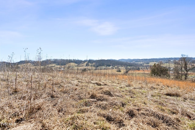 view of landscape with a rural view