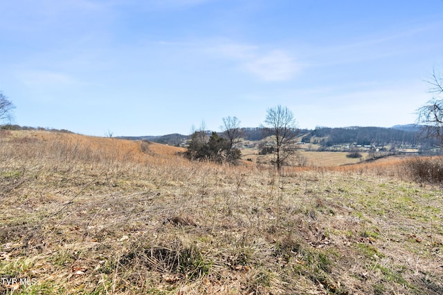 view of local wilderness featuring a rural view