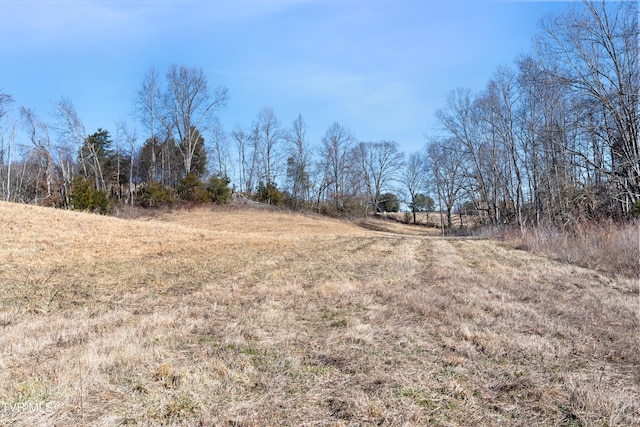 view of yard featuring a rural view