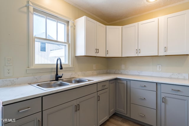 204 Johnston Ave, Bristol, TN 37620 - kitchen featuring dark wood-style flooring, a sink, white cabinets, light countertops, and gray cabinets