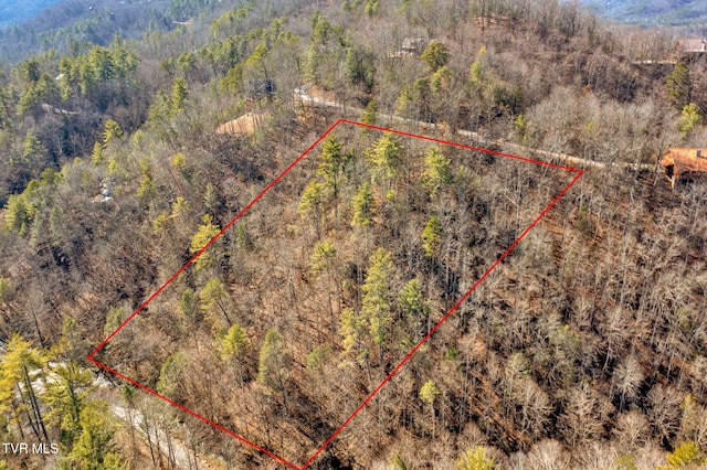 0 N Clear Fork Rd, Sevierville TN, 37862 land for sale