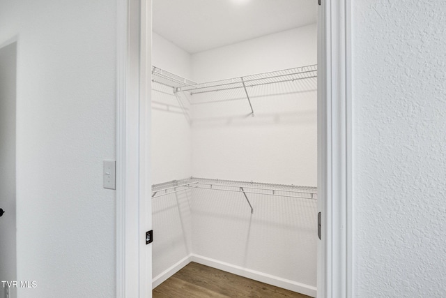 spacious closet with dark wood-type flooring