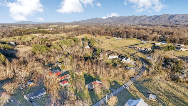 birds eye view of property with a mountain view