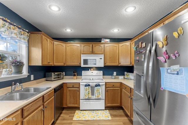 kitchen featuring stainless steel appliances, a sink, light countertops, and light wood-style floors