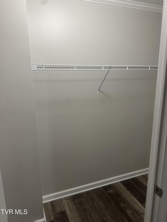 walk in closet featuring dark wood-style flooring