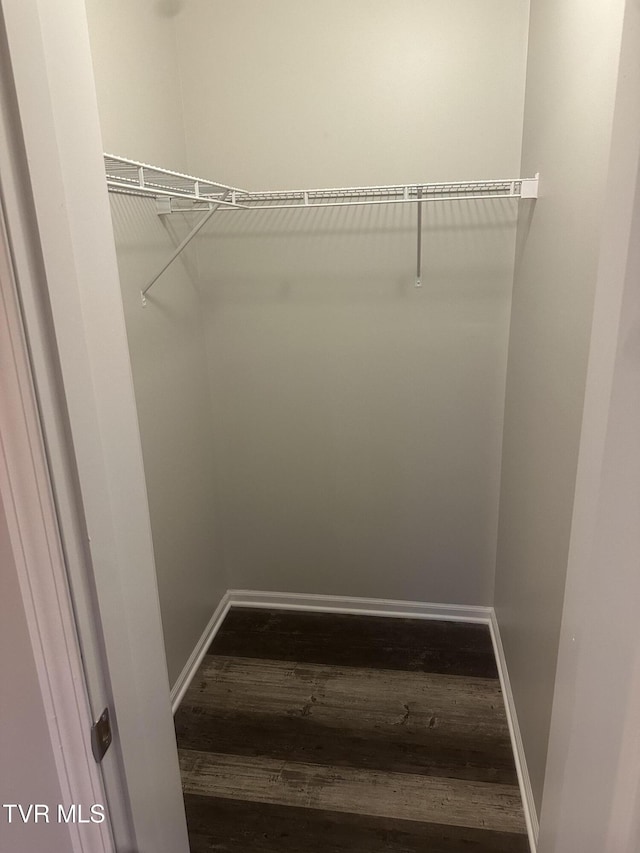 walk in closet featuring dark wood finished floors