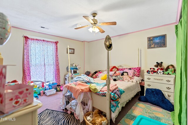 15895 Kingsport Hwy, Chuckey, TN 37641 - photo 44