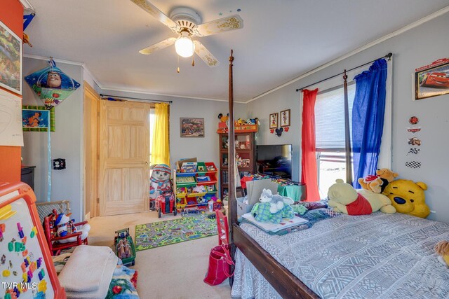 15895 Kingsport Hwy, Chuckey, TN 37641 - photo 41