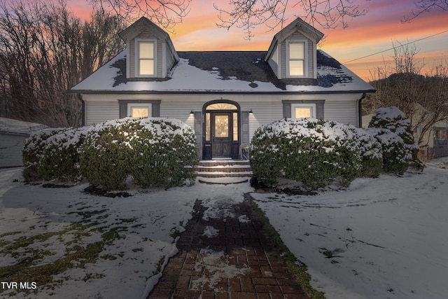 view of cape cod-style house