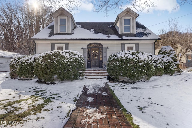 view of cape cod house