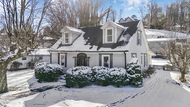 view of cape cod house