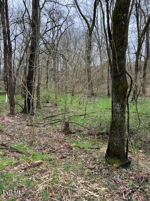 Listing photo 3 for TBD Noellwood Dr, Greeneville TN 37743